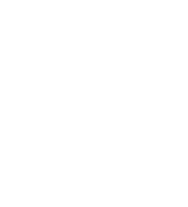 logo bazar blanc